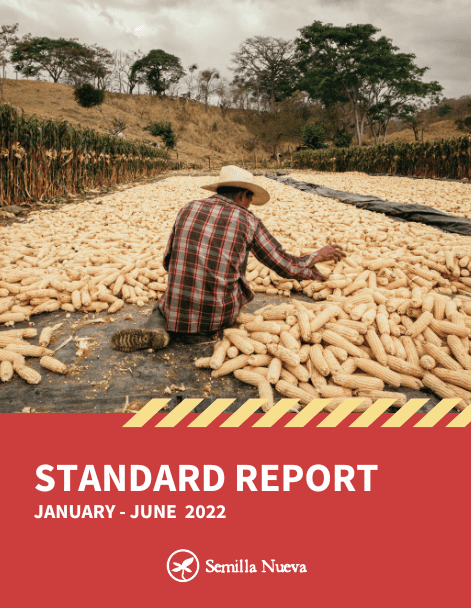 Reports-covers-2 Reports-covers-2